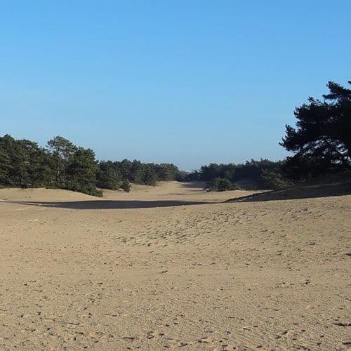 Vakantie Op De Veluwe Villa Lunteren Exteriör bild