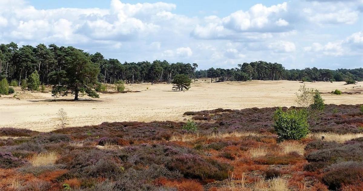 Vakantie Op De Veluwe Villa Lunteren Exteriör bild